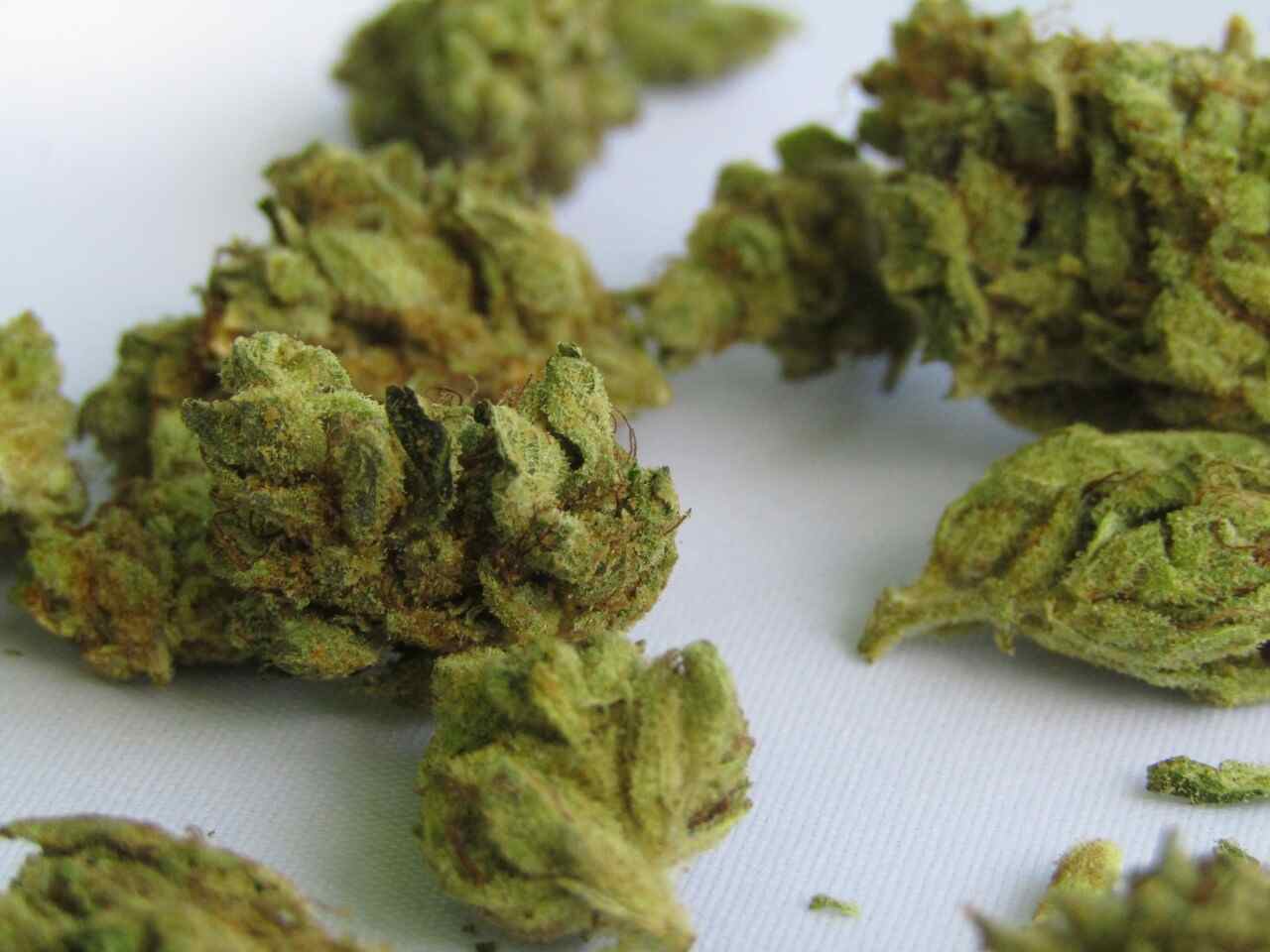 marihuana THC drogy