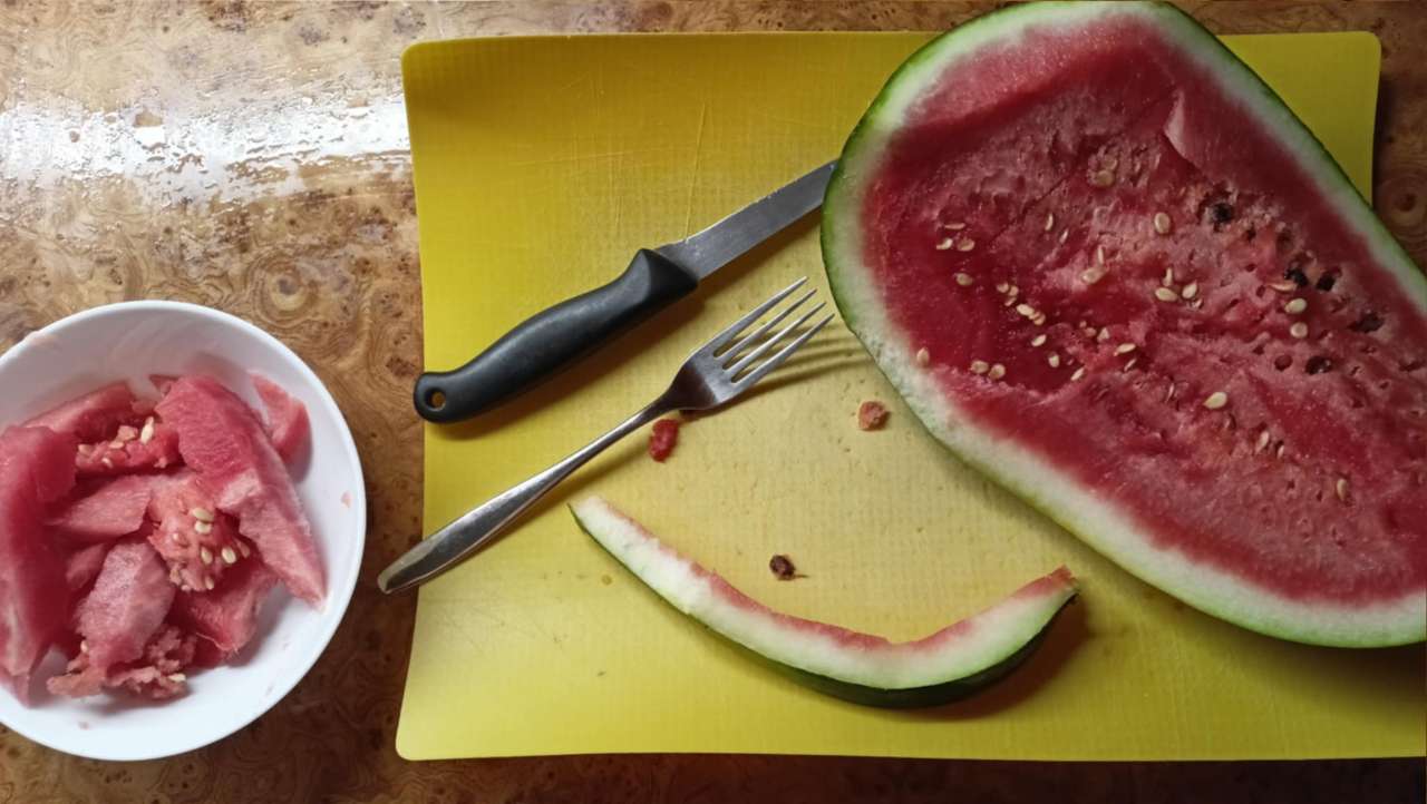 melón