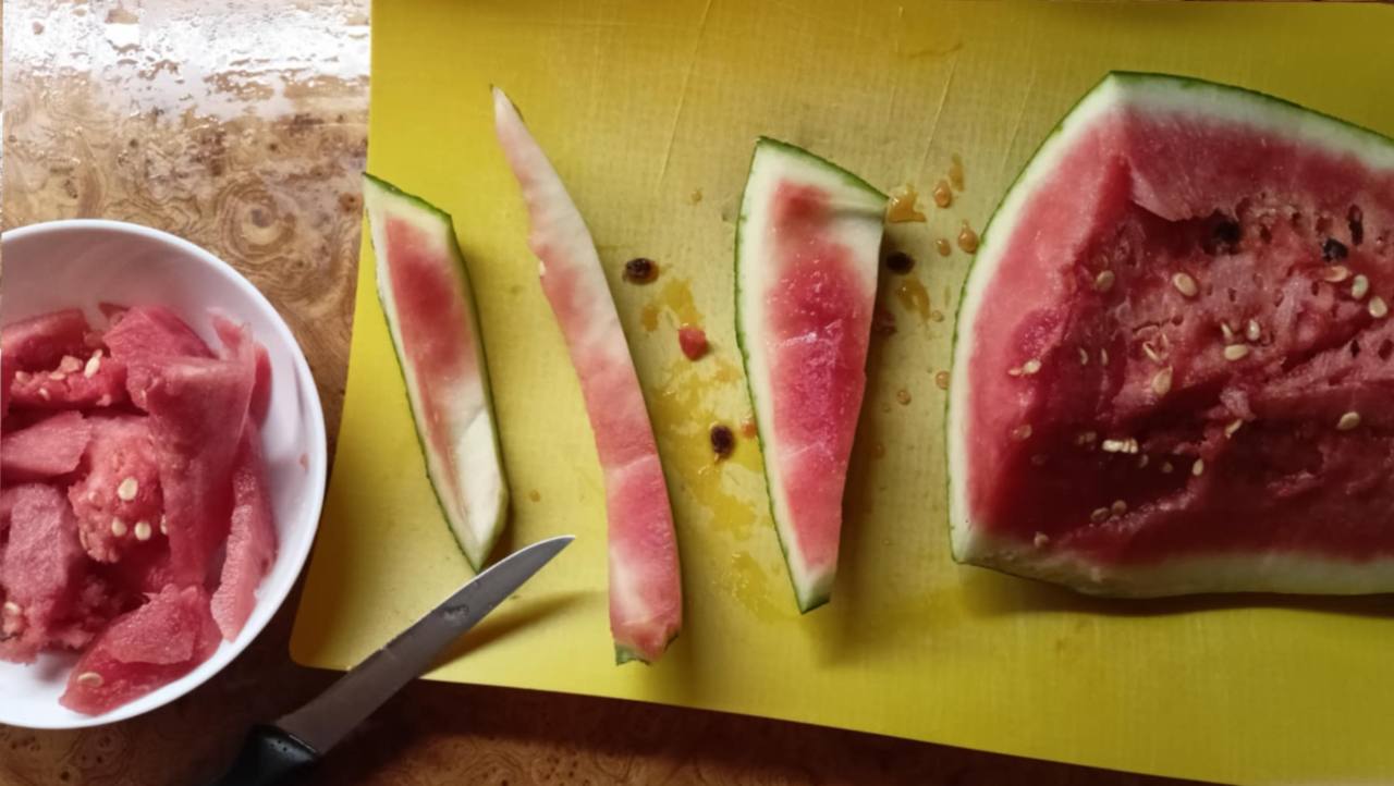 melón