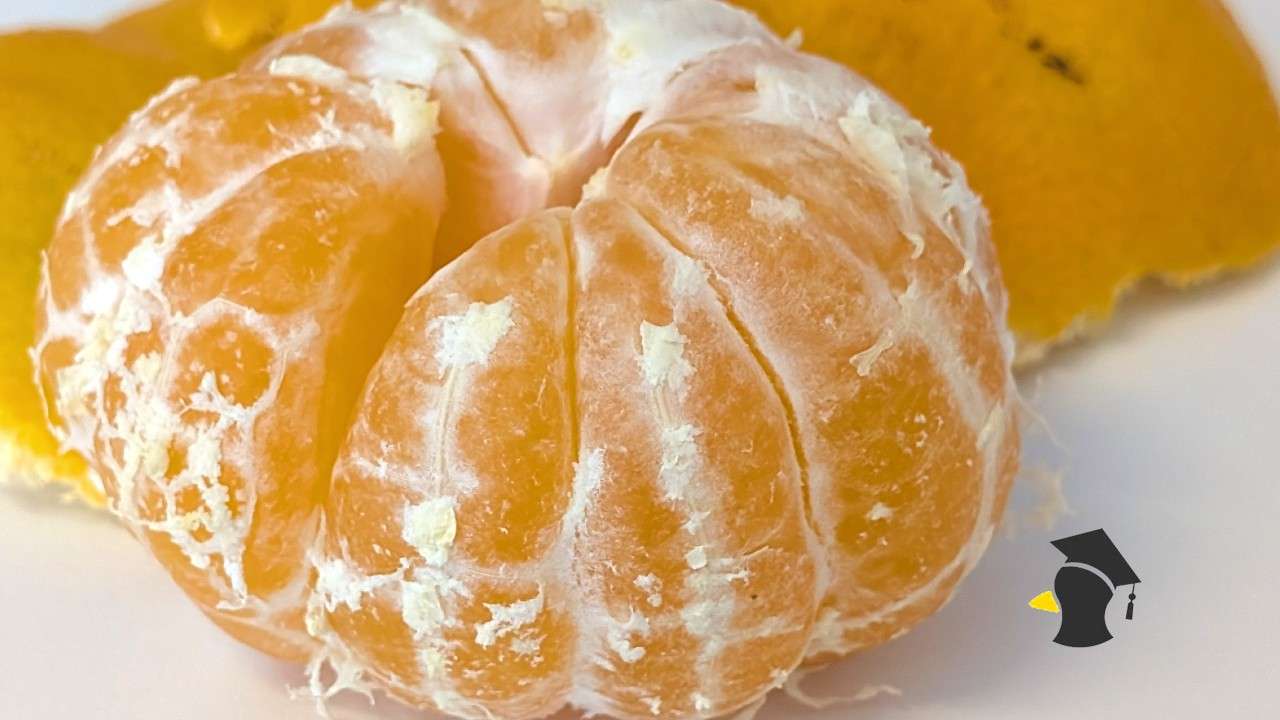 mandarinka_2